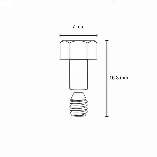 BRASS SCREW