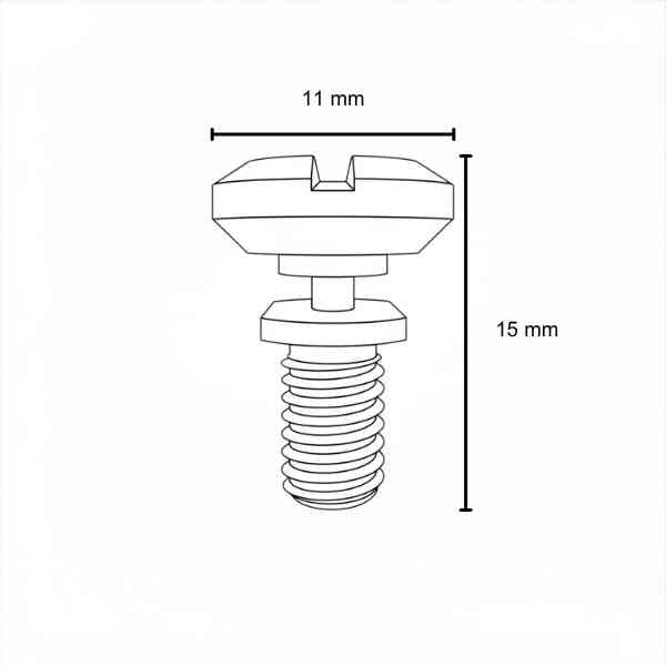 Breakaway Screw
